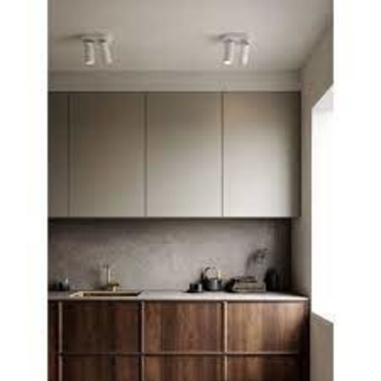 Tweelichts plafondspot in wit metaal, GU10 fitting max. 25W, IP20, lichtbron niet inbegrepen, 17,1 x 20 cm