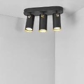3-spot plafondlamp in zwart metaal met GU10 fitting, max. 25W per spot, IP20, klasse 2, lichtbron niet inbegrepen