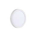 LED paneel plafond opbouw rond 24W 300mm diameter wit