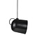 Angle 25 lámpara colgante negra de metal, orientable, E27