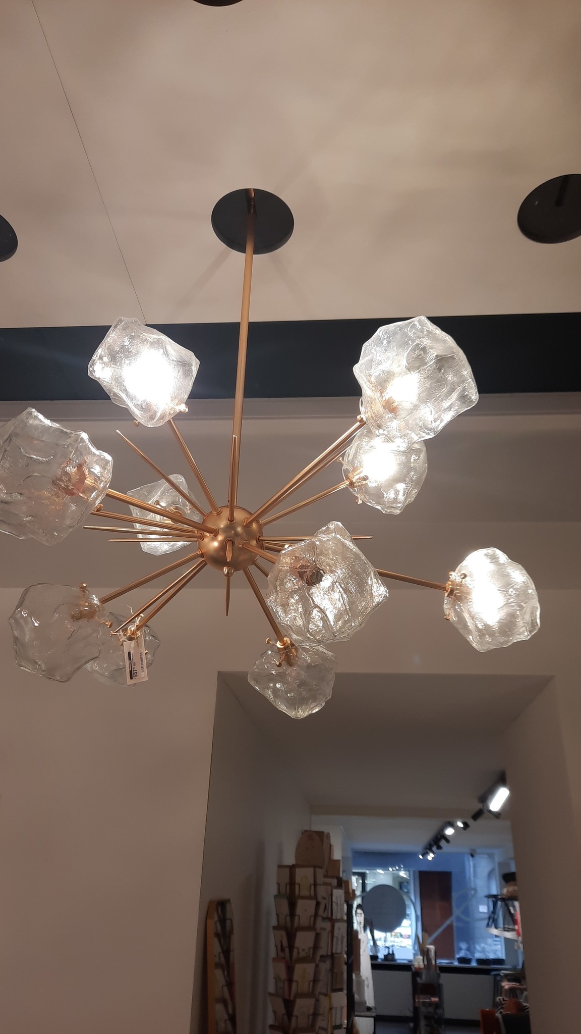 viering Nauwkeurig Kolonisten Uitzonderlijke hanglamp met 12 armen G9 chroom met glas | My Planet LED