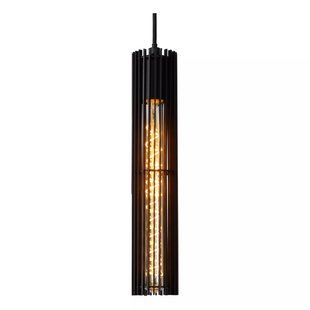 Lampe à suspension robuste noire frappante de 65 mm de diamètre E27