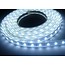 Tira LED 5m IP65 24W 60 LEDs por metro 24V