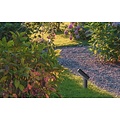 Easily tiltable garden spotlight 1x5W 3000K IP65 anthracite