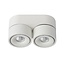 Foco de techo doble maniobrable blanco regulable 2x10W 2700K