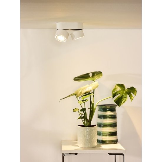 Foco de techo doble maniobrable blanco regulable 2x10W 2700K