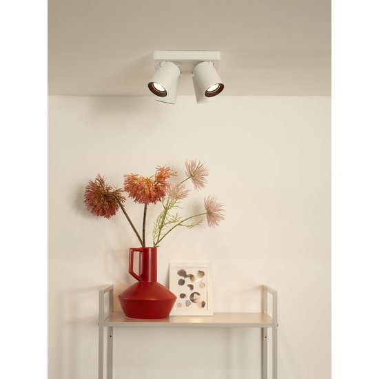 4 spots plafondlamp kokers LED wit 4x5W dim to warm