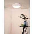 Small ceiling lamp LED Ø 30 cm 20W white