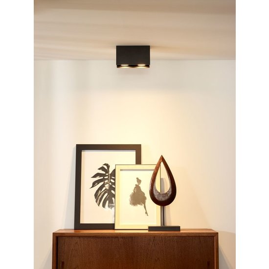 Rectangular ceiling spot with 2 GU10 spots, black