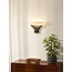 Rust brown with glass organic wall lamp E14