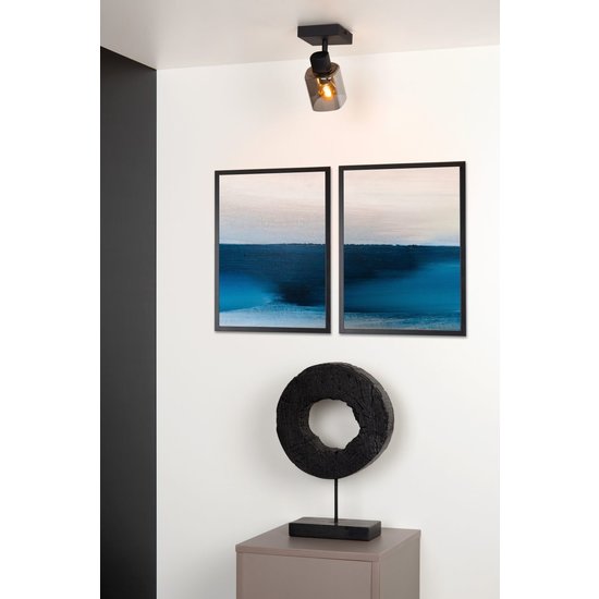 Spot de plafond 1xE14 noir avec verre fumé