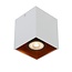 Ceiling spotlight 1xGU10 white with gold square