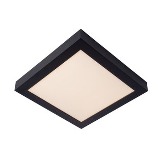 Waterproof ceiling lamp 30cm square black dim 30W 3000K IP44