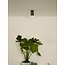 Smalle grijze koker plafondspot 5,5 cm LED Dim to warm GU10 5W