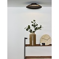 Black ceiling lamp 34.5 cm LED 12W 2700K