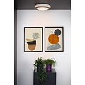 Organic design black ceiling lamp 28.6 cm dimmable 12W