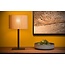 Lampe d'appoint scandinave contemporaine en rotin 28 cm E27 roseau