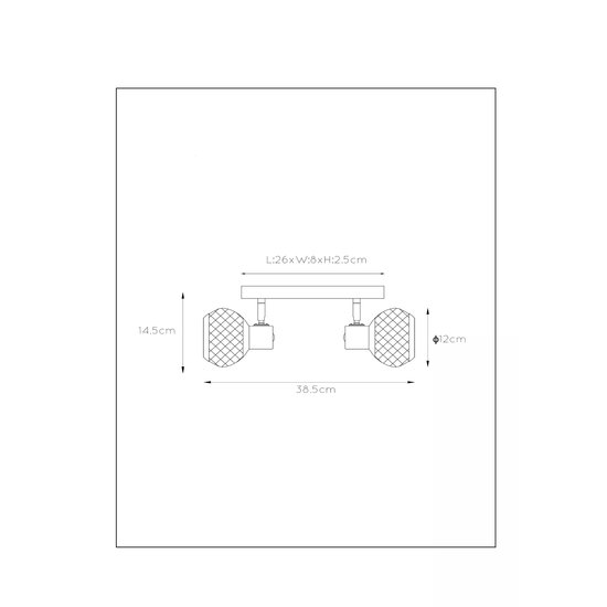 Spot de plafond saisissant noir et laiton 2xE14