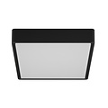 Black square ceiling lamp or wall lamp IP65 1900 lumens