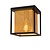 Ceiling lamp E27 black with brass inner cage