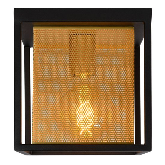 Ceiling lamp E27 black with brass inner cage