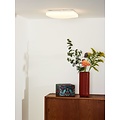 Scheibenförmige schöne Deckenlampe 28 cm 20W 3000K opal