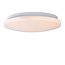 Handsome ceiling lamp round opal 26 cm 14W 3000K