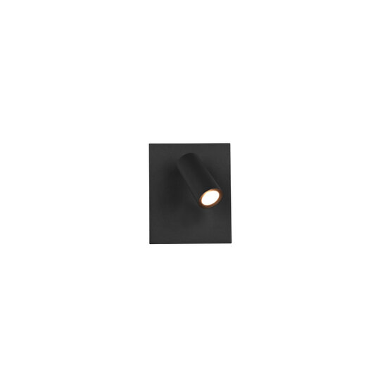 Tunga adjustable outdoor wall light LED 4W 3000K anthracite, 420 lumen, IP54, cast aluminium, 13 x 16 cm