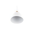 Lámpara colgante Jagger, blanco mate, metal, portalámparas E27 (bombilla no incluida), 150 cm de alto, diámetro 25 cm, IP20