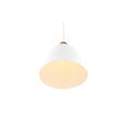 Lámpara colgante Jagger, blanco mate, metal, portalámparas E27 (bombilla no incluida), 150 cm de alto, diámetro 25 cm, IP20