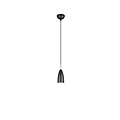 Farin hanglamp 1xE14 mat zwart, metalen armatuur, hoogte 150 cm, diameter 10 cm, max. 25W, IP20, lichtbron niet inbegrepen