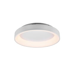 Trio Lighting Lámpara de techo multifuncional redonda LED 48W 2600-6000K blanca mate