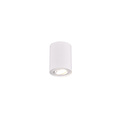 Foco de techo orientable redondo 1xGU10 blanco