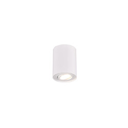 Foco de techo orientable redondo 1xGU10 blanco