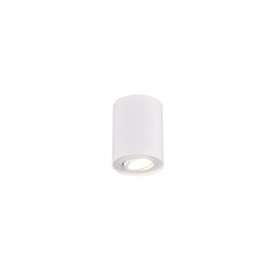 Spot de plafond simple rond orientable 1xGU10 blanc