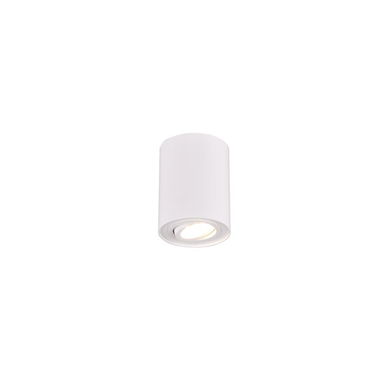 Trio Lighting Spot de plafond directionnel rond 1xGU10 blanc - Idéal pour créer une ambiance