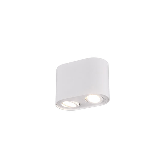 Trio Lighting Spot de plafond duo orientable rond 2xGU10 blanc mat - Solution d'éclairage idéale pour chaque pièce
