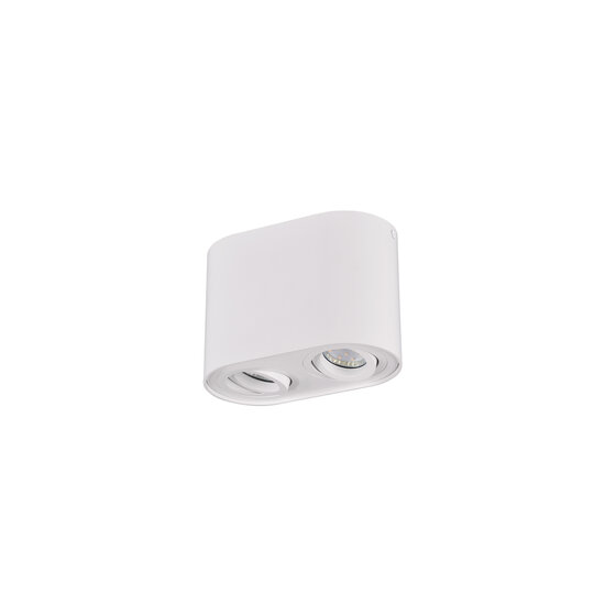 Foco de techo duo orientable redondo 2xGU10 blanco mate