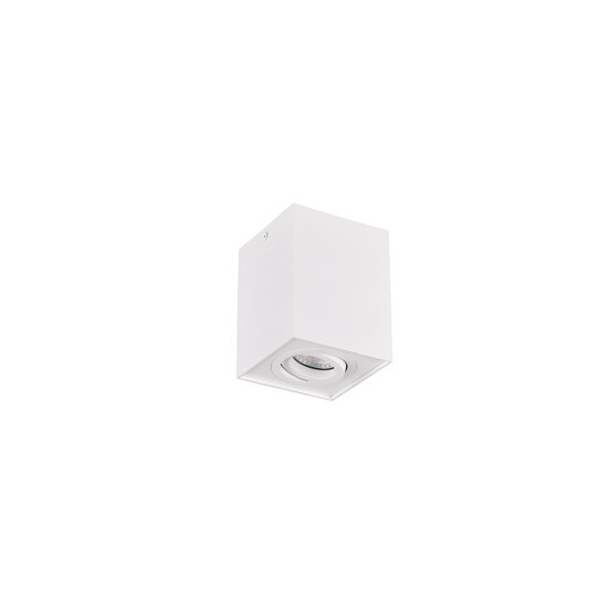 Spot de plafond simple orientable étanche 1xGU10 blanc