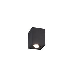 Trio Lighting Spot de techo único rotativo negro mate 1xGU10