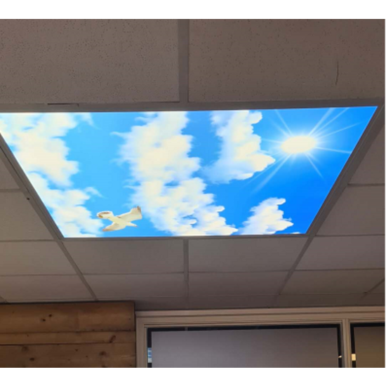 Plafond Plafond Nuage Blanc 3 nuages 45W LED CCT+RGB avec Télécommande
