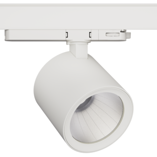 Hyrwell Éclairage sur rail pour poisson et fruits de mer 36 Watt 7000 Kelvin