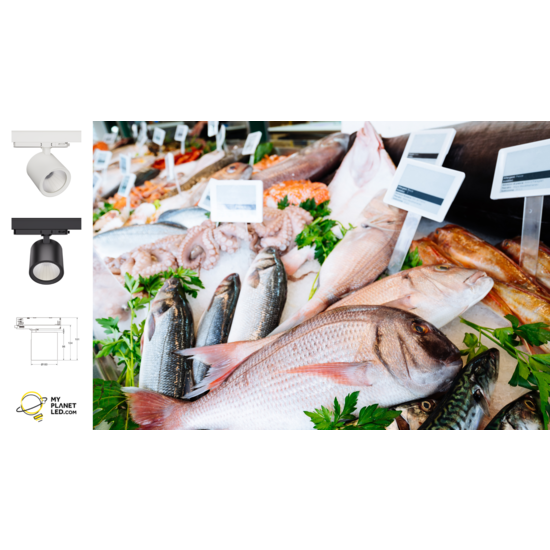 Éclairage sur rail Shopy poisson et fruits de mer 36 Watt 7000 Kelvin