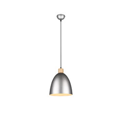 Trio Lighting Lámpara colgante 1xE27 40W níquel antiguo