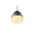 Trio Lighting Lámpara colgante 1xE27 40W níquel antiguo - Crea un ambiente acogedor