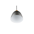 Trio Lighting Lámpara colgante 1xE27 40W níquel antiguo - Crea un ambiente acogedor
