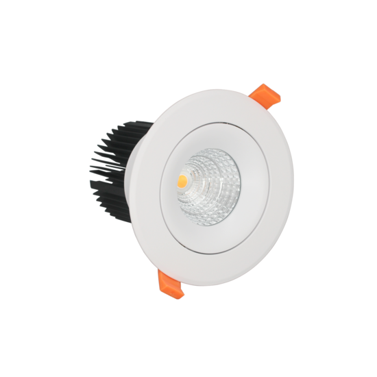 Profy Design dimmable recessed spot 20W 110mm to 130mm hole size 5 year warranty