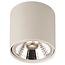 Modern 1 spot lamp round white 12W