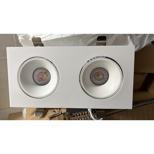 White directional 2 x 20 W double recessed spot for pink flesh lighting