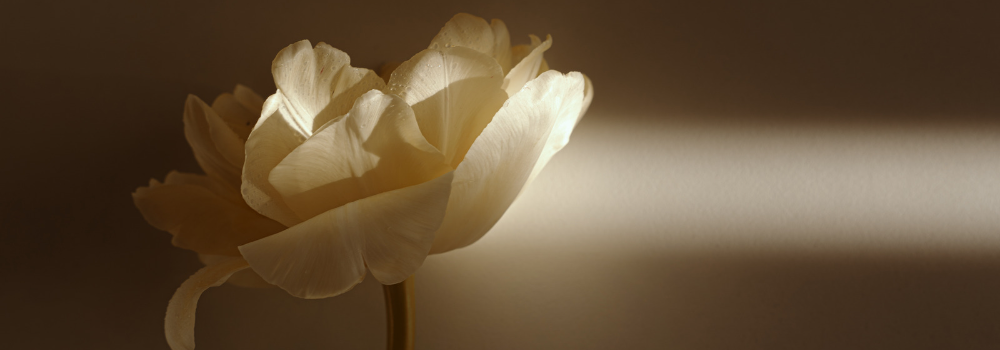 Iluminación Estética: Crea Ambiente y Estilo en tu Hogar